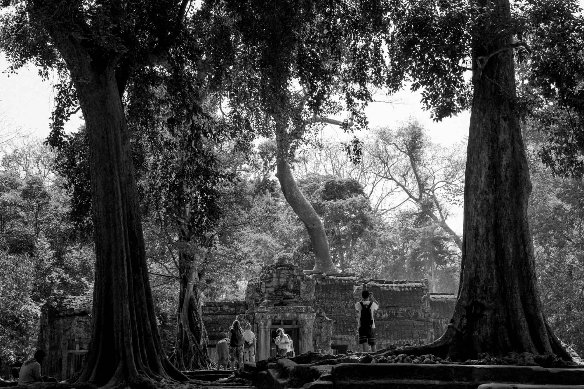 TA PROHM TEMPLE, SIEM REAP