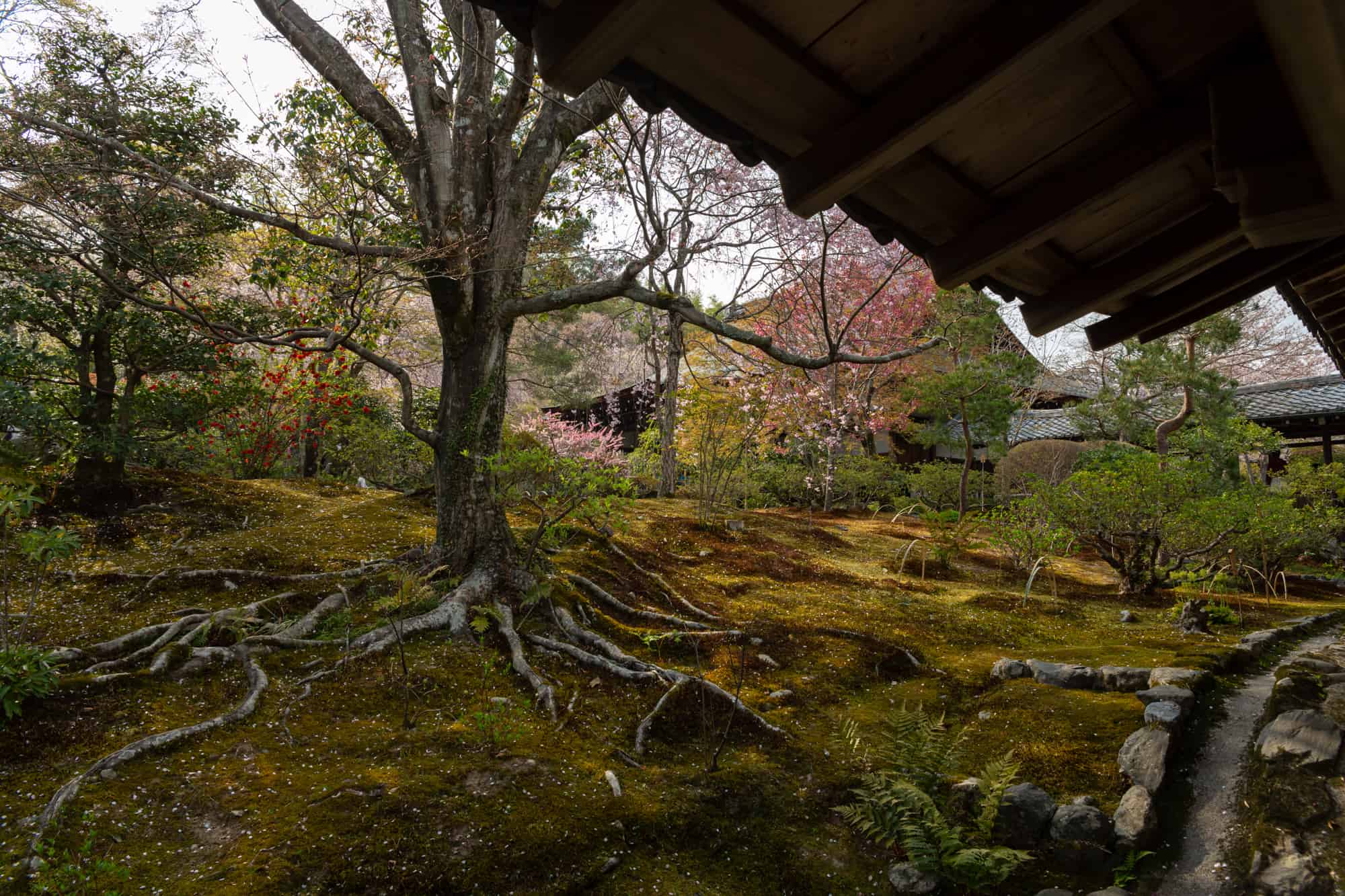 Nijo Castle, Kyoto