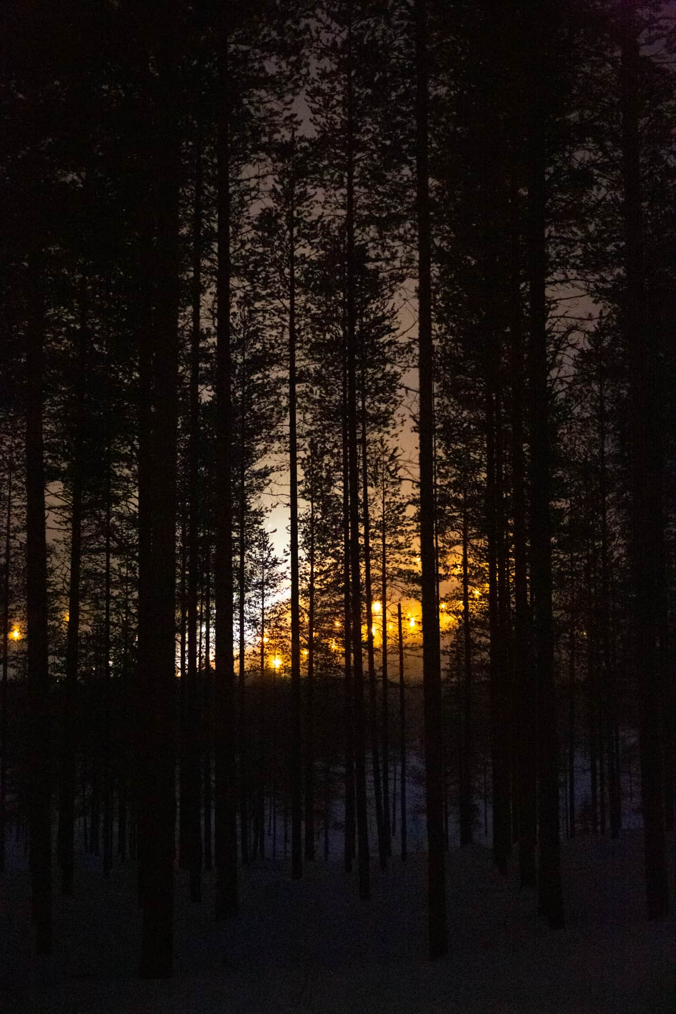 Pyhätunturi, Lapland