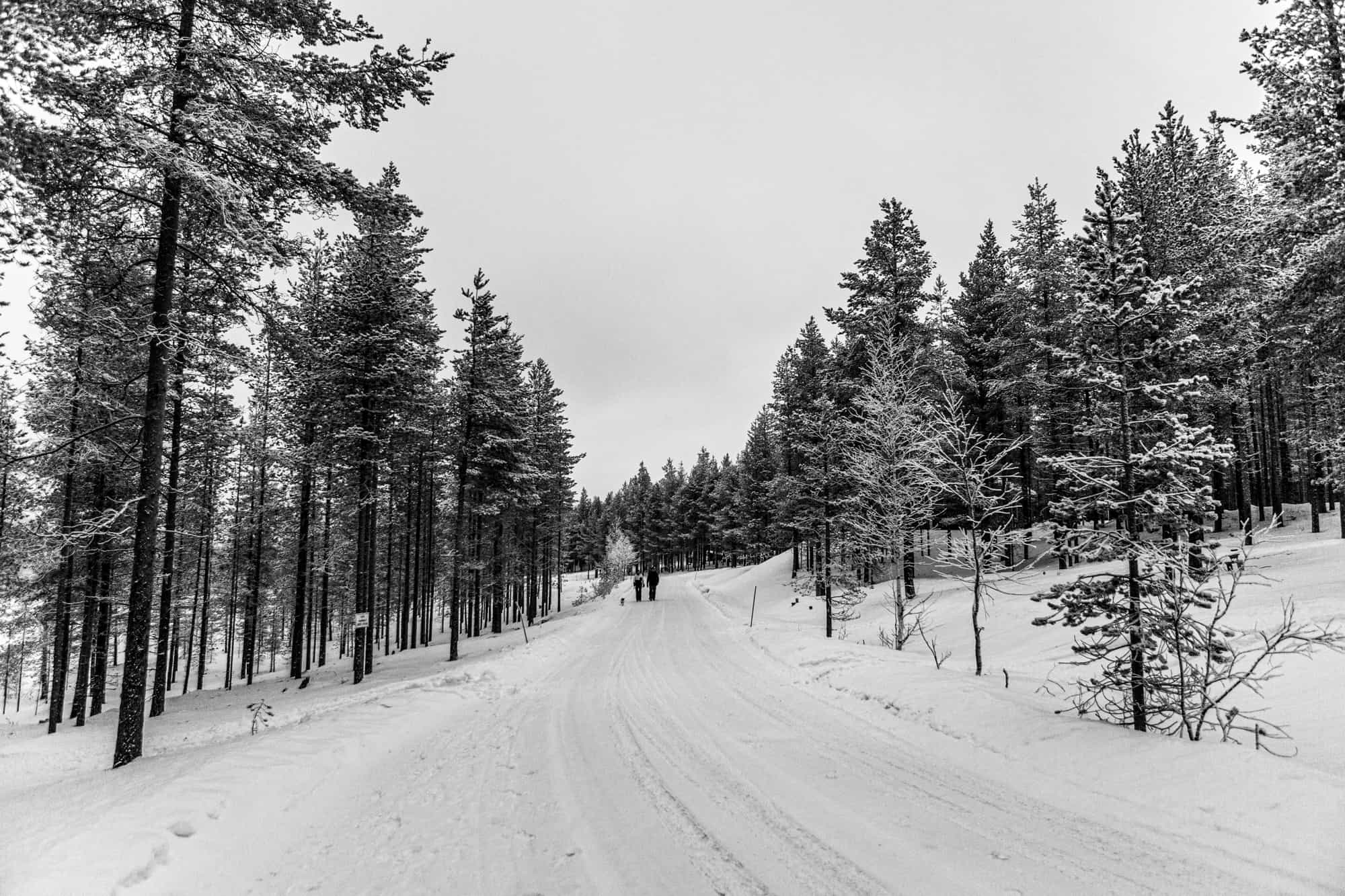 Pyhätunturi, Lapland