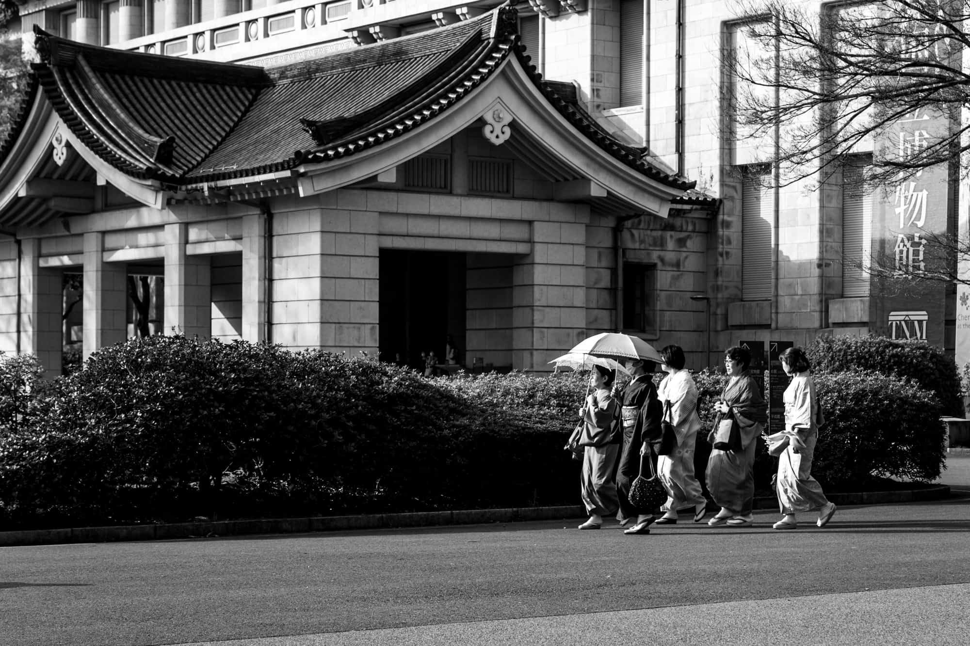 Tokyo National Museum, Ueno, Tokyo