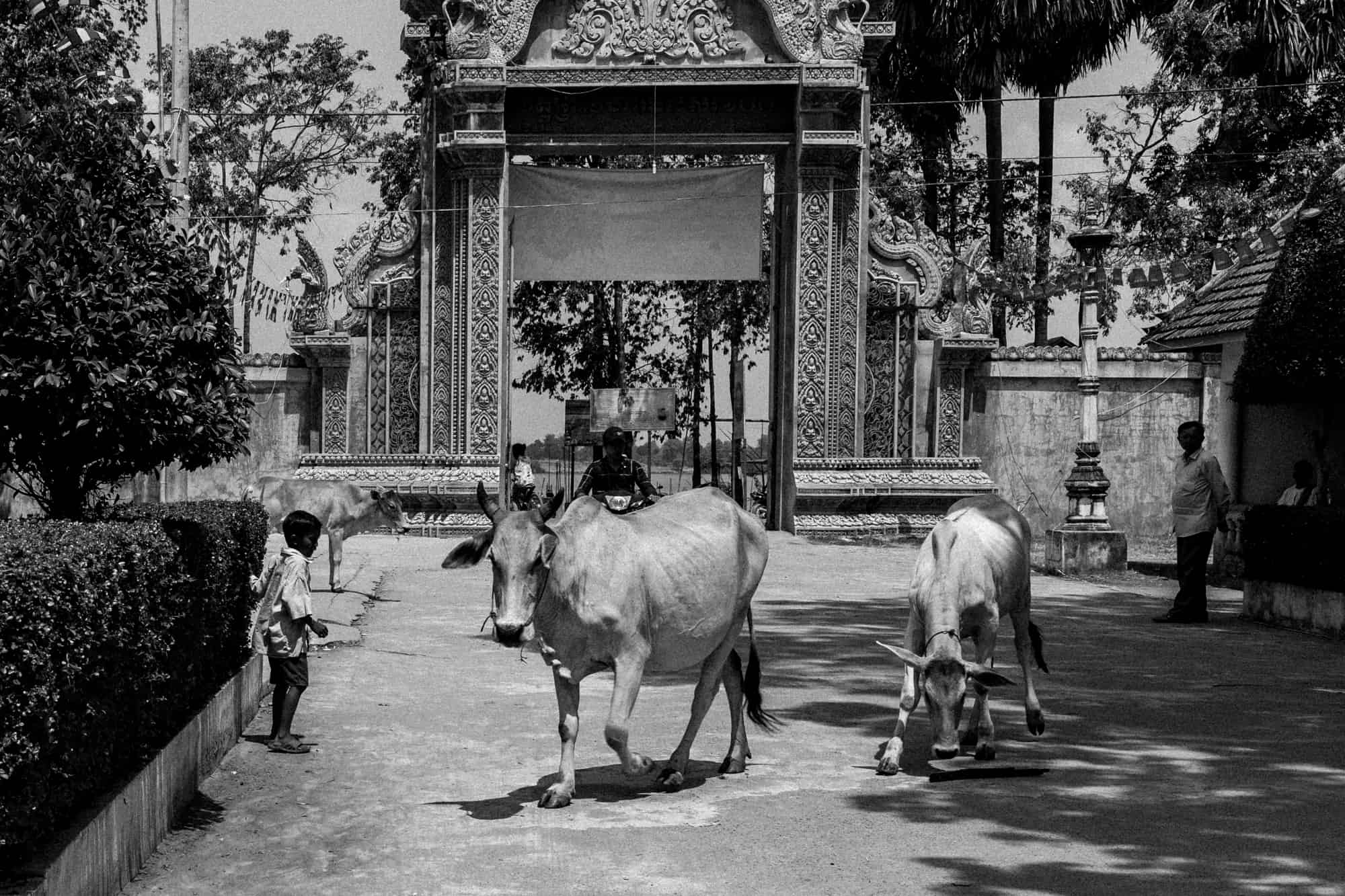 100-COLUMN PAGODA, SAM BOR