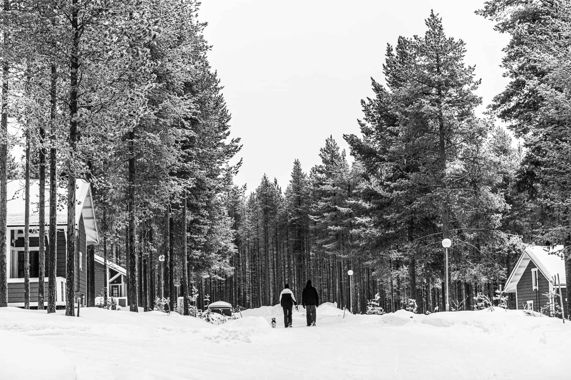 Pyhätunturi, Lapland