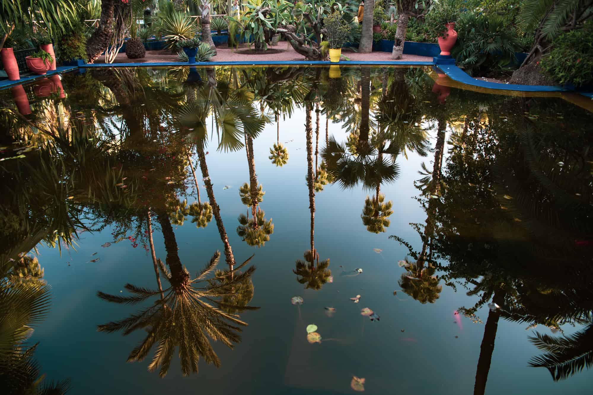 Le Jardin Majorelle, Marrakesh