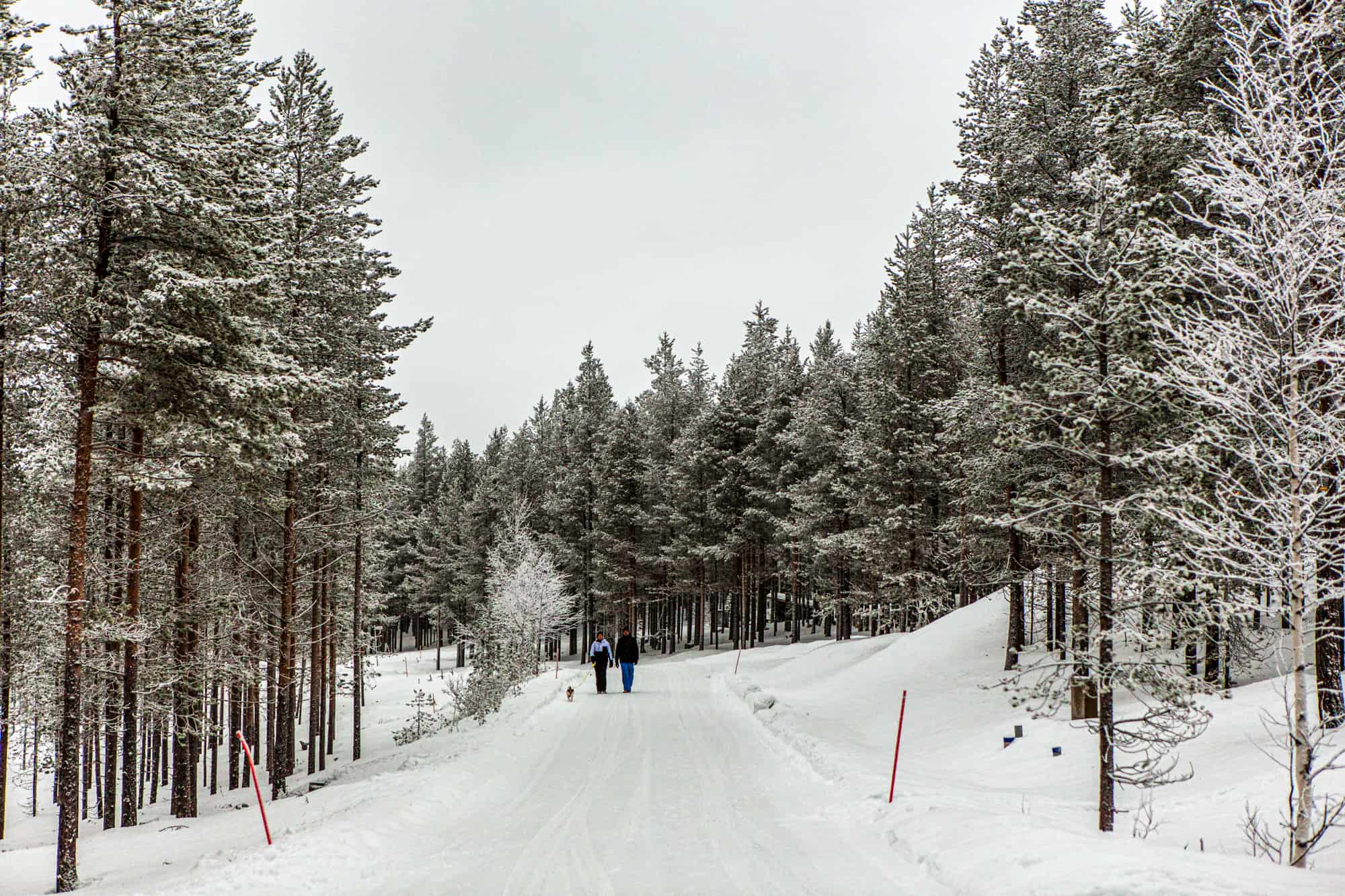 Pyhätunturi, Lapland