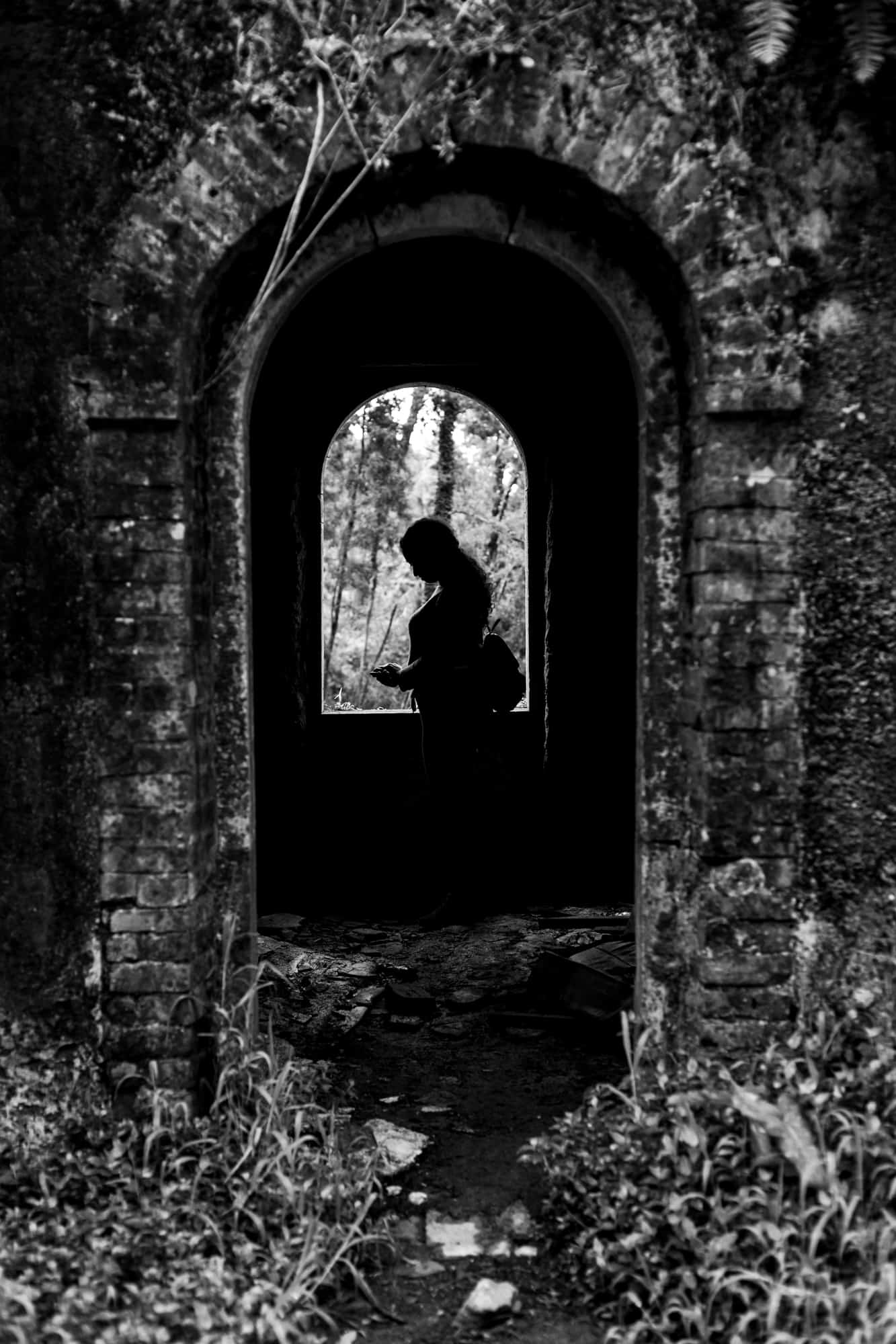 Mata Nacional do Bussaco