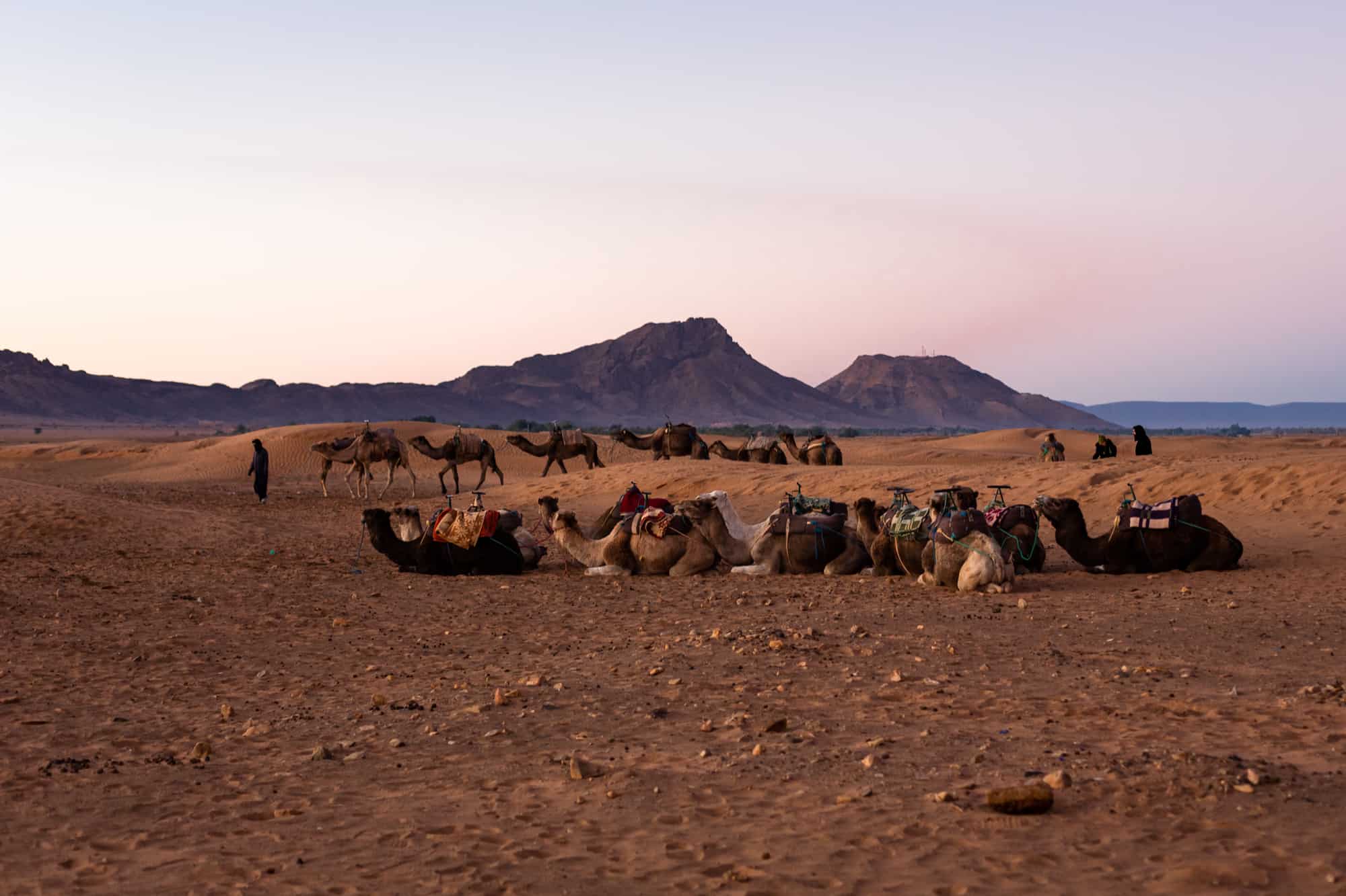 Zagora desert