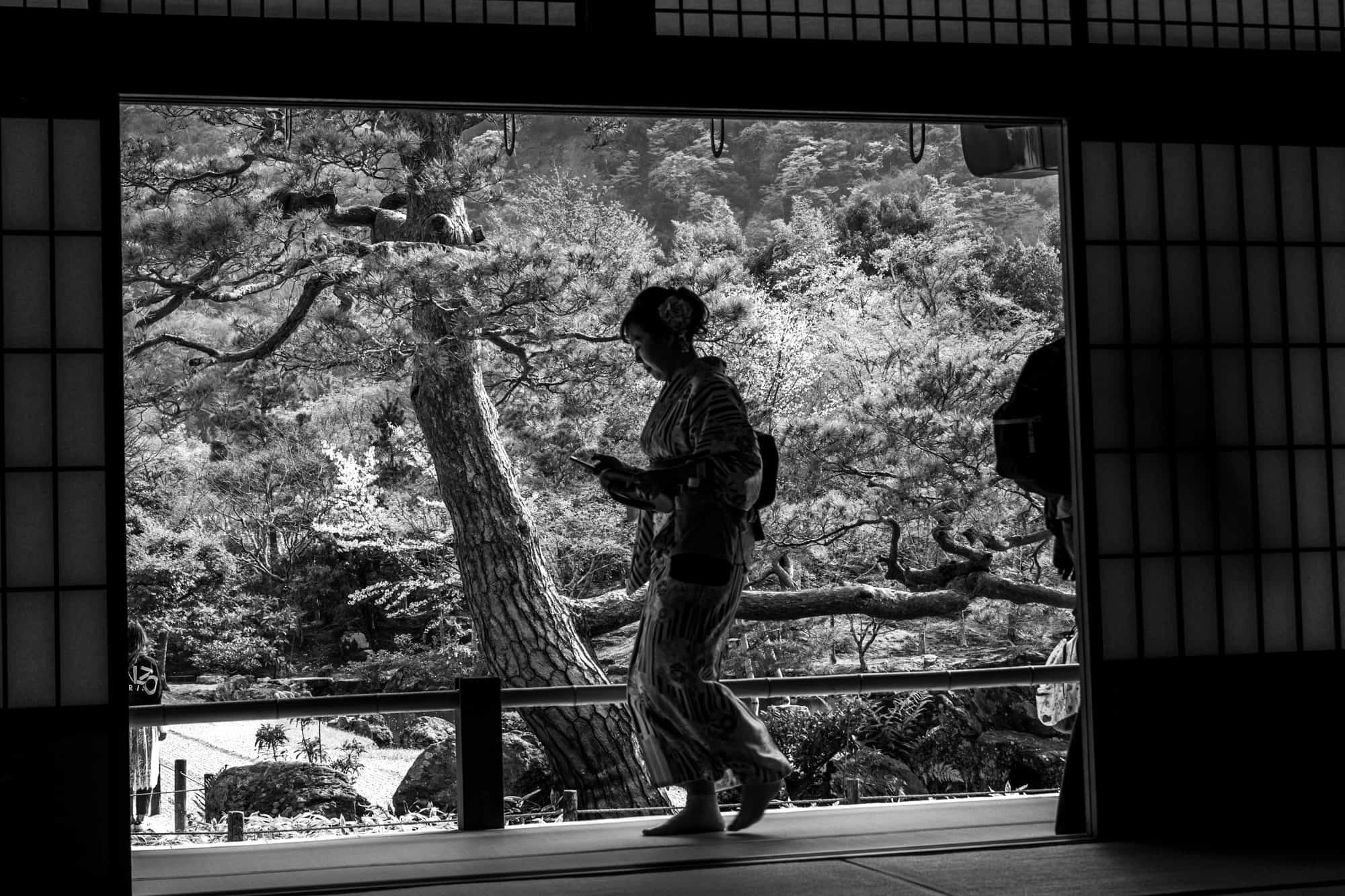 Nijo Castle, Kyoto