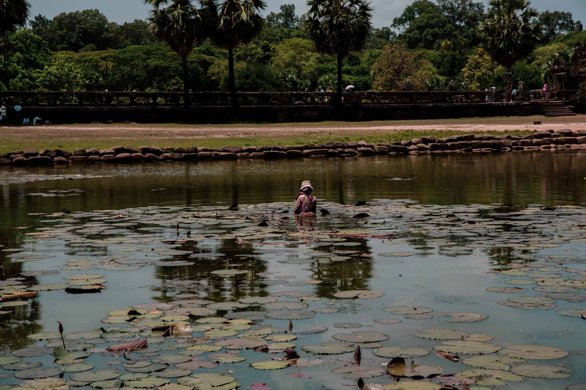 ANGKOR WAT, SIEM REAP